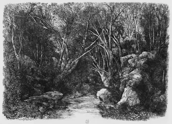 O córrego através das árvores, 1880